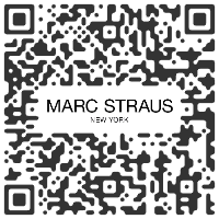 Marc Straus Gallery, NEW YORK NY, U.S.A. - Anne Samat :   - December 5 > December 7 2025 @marcstrausgallery