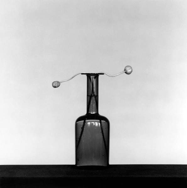 Robert Mapplethorpe, "Poppy", 1982, Silver gelatin print, © The Robert Mapplethorpe Foundation, used with permission