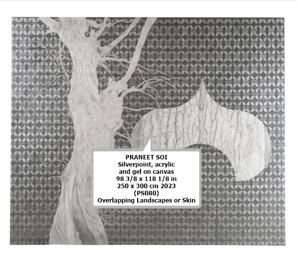 PRANEET SOI
Silverpoint, acrylic and gel on canvas
98 3/8 x 118 1/8 in
250 x 300 cm
2023
(PS080)
Overlapping Landscapes or Skin