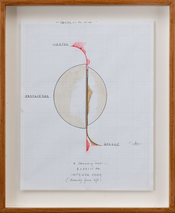 Jitish Kallat,Integer Study (drawing from life)