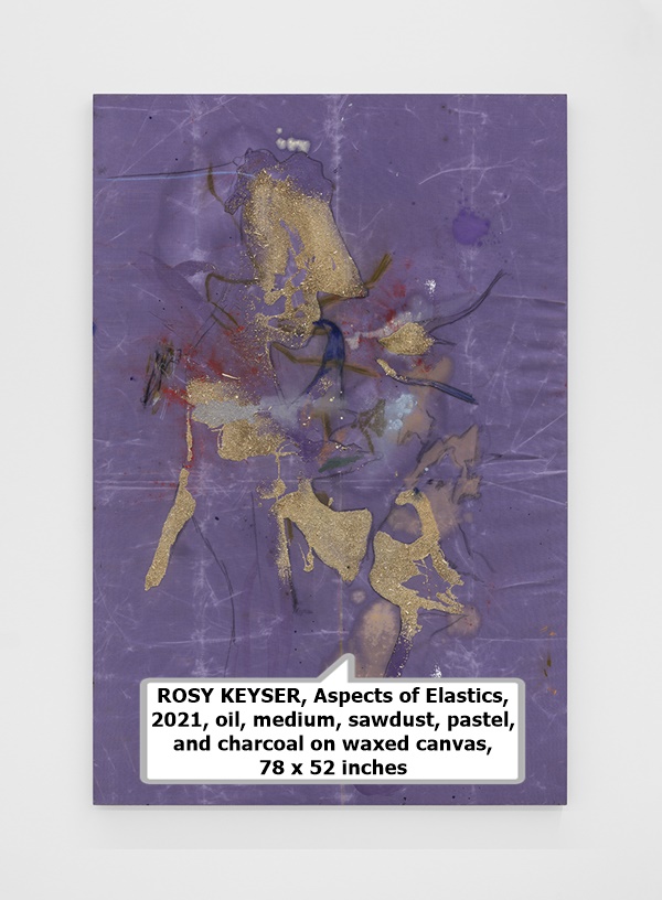 ROSY KEYSER, Aspects of Elastics, 2021, oil, medium, sawdust, pastel, and charcoal on waxed canvas, 78 x 52 inches