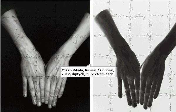 Mikko Rikala, Reveal / Conceal, 2017, diptych, 30 x 24 cm each.